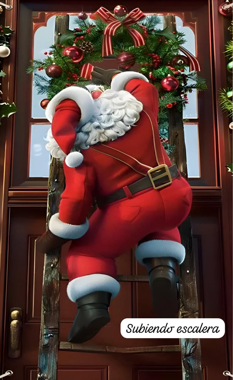 Fundas Navideñas Para Puertas